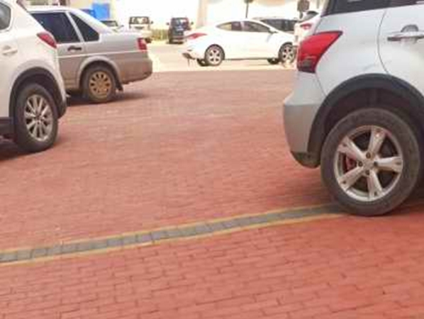 洛陽(yáng)老城區(qū)中鑫家苑透水磚施工效果展示 洛陽(yáng)老城區(qū)中鑫家苑透水磚施工效果展示