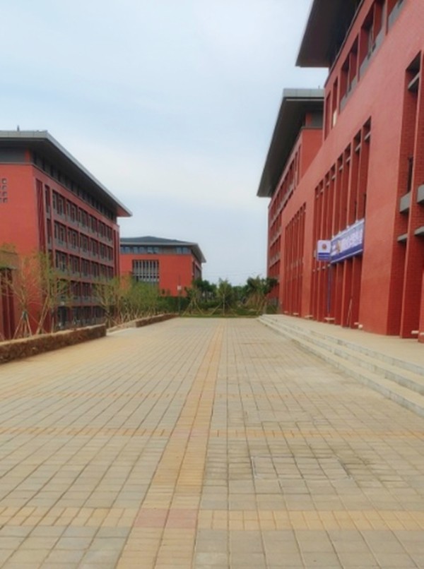 洛陽職業(yè)技術(shù)學院透水磚工程案例-施工效果展示 洛陽職業(yè)技術(shù)學院透水磚工程案例-施工效果展示