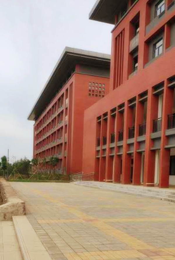 洛陽職業(yè)技術(shù)學院透水磚工程案例-施工效果展示 洛陽職業(yè)技術(shù)學院透水磚工程案例-施工效果展示