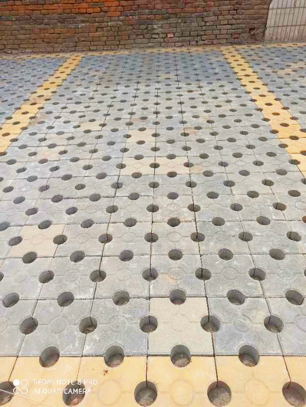 洛陽(yáng)宜陽(yáng)縣錦屏鎮(zhèn)馬堯村植草磚施工工程效果展示 洛陽(yáng)宜陽(yáng)縣錦屏鎮(zhèn)馬堯村植草磚施工工程效果展示