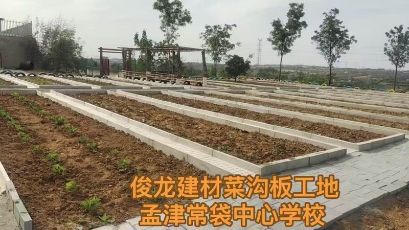 孟津常袋中心學(xué)校