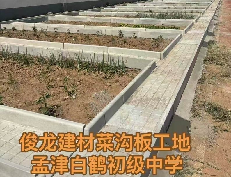 孟津白鶴初級(jí)中學(xué)